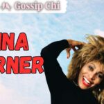 Tina Turner cantante