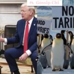 Trump dazi pinguini
